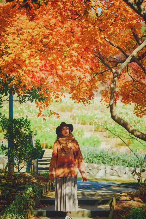 紅葉×クリスマスがコラボする唯一の場所「神戸布引ハーブ園」　今年は『布引の紅葉』のライトアップを大規模に開催！【開催期間：11月8日(土)～12月上旬】