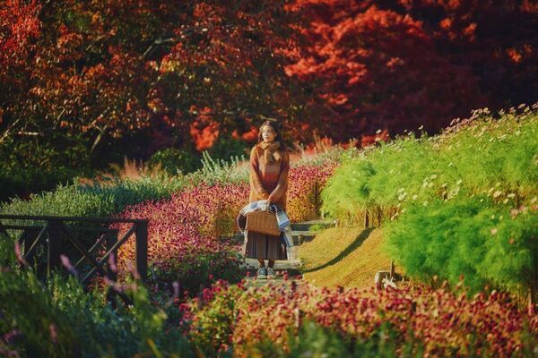 紅葉×クリスマスがコラボする唯一の場所「神戸布引ハーブ園」　今年は『布引の紅葉』のライトアップを大規模に開催！【開催期間：11月8日(土)～12月上旬】