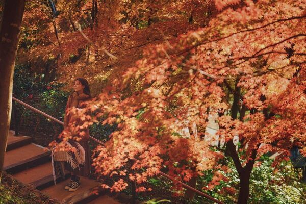 紅葉×クリスマスがコラボする唯一の場所「神戸布引ハーブ園」　今年は『布引の紅葉』のライトアップを大規模に開催！【開催期間：11月8日(土)～12月上旬】