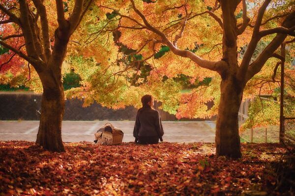 紅葉×クリスマスがコラボする唯一の場所「神戸布引ハーブ園」　今年は『布引の紅葉』のライトアップを大規模に開催！【開催期間：11月8日(土)～12月上旬】