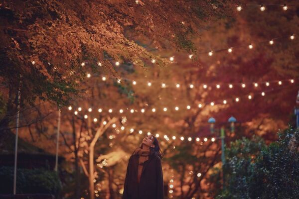 紅葉×クリスマスがコラボする唯一の場所「神戸布引ハーブ園」　今年は『布引の紅葉』のライトアップを大規模に開催！【開催期間：11月8日(土)～12月上旬】