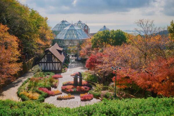紅葉×クリスマスがコラボする唯一の場所「神戸布引ハーブ園」　今年は『布引の紅葉』のライトアップを大規模に開催！【開催期間：11月8日(土)～12月上旬】
