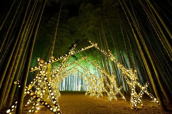 秋風に舞う彩りの競演「弘前城菊と紅葉まつり」2025年10月31日から開催！