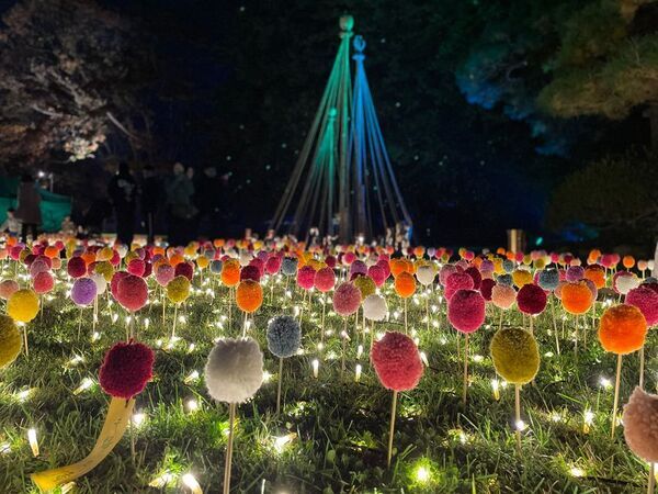 秋風に舞う彩りの競演「弘前城菊と紅葉まつり」2025年10月31日から開催！