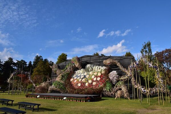 秋風に舞う彩りの競演「弘前城菊と紅葉まつり」2025年10月31日から開催！