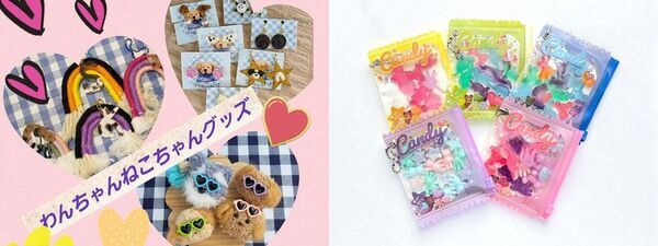 プロスポーツチームとの交流やダンスステージ、フードなど、柏市の魅力を集めた「第3回MS OPEN CAMPUS」が11月9日(日)開催決定！