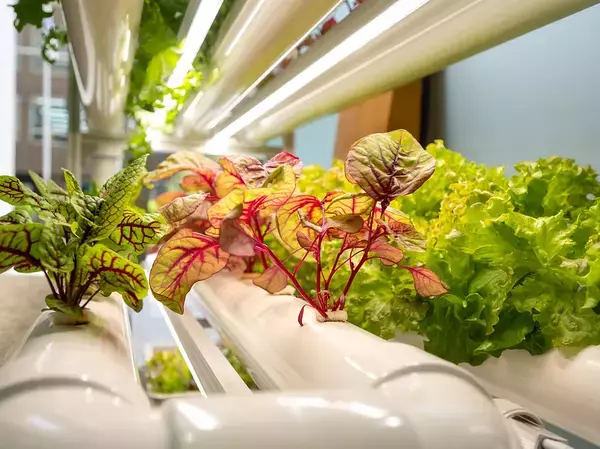 『コピス吉祥寺15周年アニバーサリー』15年間の感謝を込めて、10月1日(水)～10月31日(金)開催！