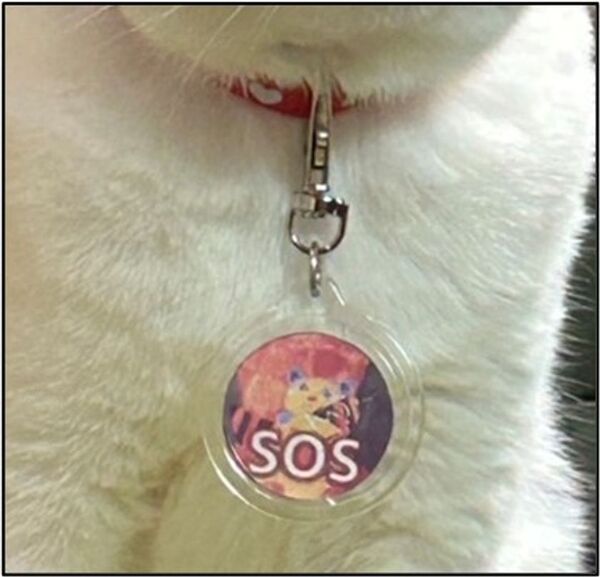 迷子猫を一頭でも減らし、飼い主が万が一の時でも置き去りにすることを防げる新しいシステム「マイにゃんSOSコード」を大学生が発案・具体化し、10月17日よりクラウドファンディングを立ち上げ