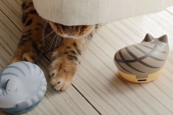 「ラディウスのNEKO」にキジシロ、サバトラが仲間入り！猫モチーフの完全ワイヤレスイヤホン「NEKO true wireless earphones HP-C28BT」の新色2種を2025年10月30日より販売開始