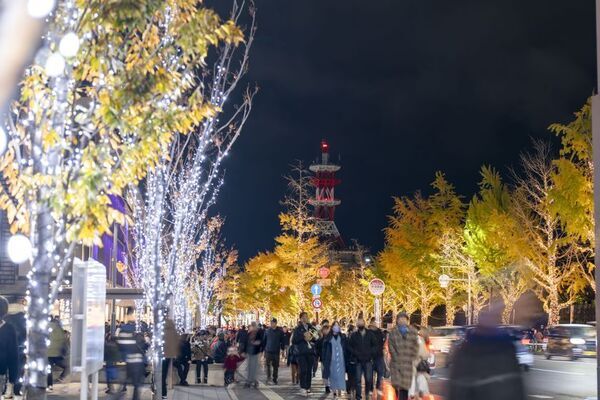 和歌山市の夜が輝きだす！130万球の光と500機のドローンが街と夜空を彩るけやきライトパレード＆WAKAYAMA LIGHTS 2025！