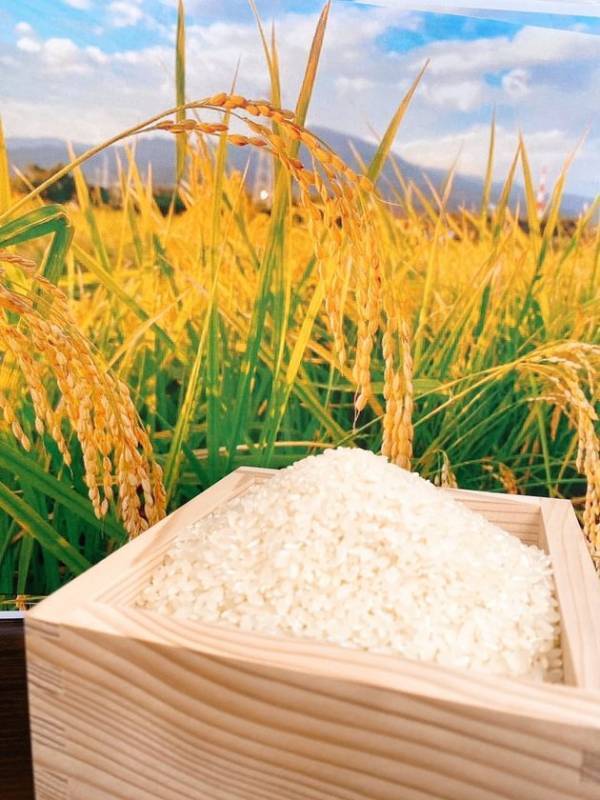 ＜静岡・沼津＞サービスエリアでワクワク秋の味覚イベント！＼秋の味覚をすくい取れ！「新米すくいイベント」10月18日・19日開催／