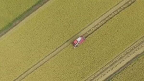 ＜静岡・沼津＞サービスエリアでワクワク秋の味覚イベント！＼秋の味覚をすくい取れ！「新米すくいイベント」10月18日・19日開催／