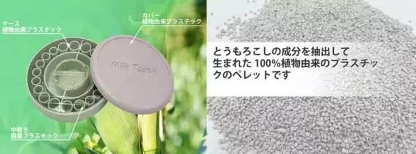植物由来のプラスチックを使用した乳歯ケース【Milk Tooth】を10月23日よりMakuakeにて販売開始