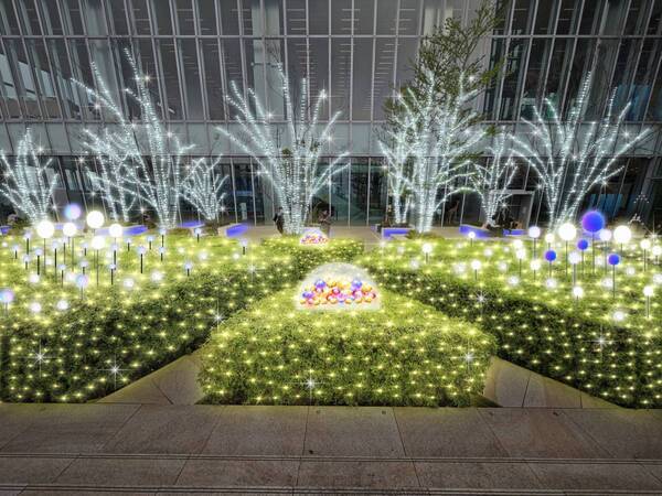 あべのハルカス 天空のイルミネーション 2025
