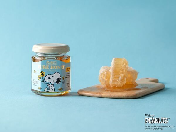 日常を彩る「スヌーピー」のピュアはちみつ・メープルシリーズ3種、新デザインで登場！