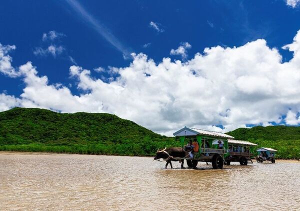 水牛車のDX化「由布島」へ渡る「由布島水牛車定期便」のオンライン予約がジョルダン予約在庫管理サービス「ReservNation」で可能に！
