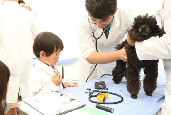 獣医師の仕事について知る！動物とふれあう！動物同伴OKイベント「2025動物感謝デー in JAPAN “World Veterinary Day”」2025年11月15日(土)開催