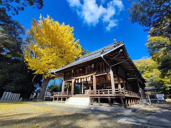愛媛県・浮嶋神社様にて御守り・御朱印の2026年版予約開始　神代文字の一種である龍体文字と御守り・御朱印が現代で融合