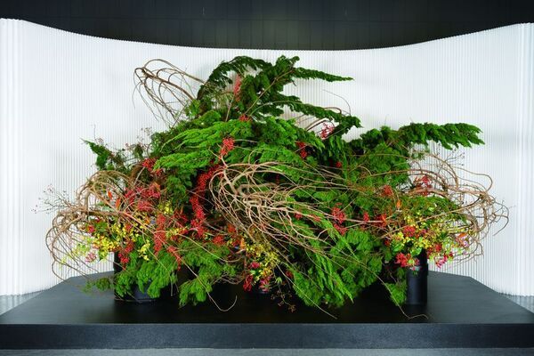 「いけばな龍生展　植物の貌2025」11月21日～24日 渋谷で開催　会期中同時開催の ＜龍生展2025　プレミアムナイトツアー～花展の夜を、贅沢に愉しむ特別ツアー～＞ 詳細も決定