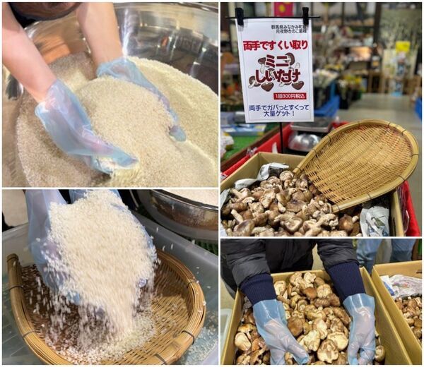 ＼群馬の秋がクライマックス！／ドカ盛り野菜で秋を丸かじり！『実りの秋の大収穫祭』を11月1日～11月30日まで開催！