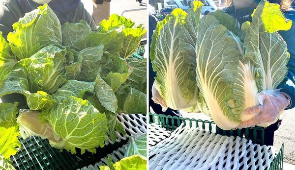 “道の駅木更津うまくたの里”で、《2025年 8周年祭》を開催！10月30日(木)～11月3日(月・祝)は、“8”にまつわるお得なイベントが目白押し！