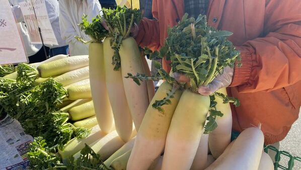 “道の駅木更津うまくたの里”で、《2025年 8周年祭》を開催！10月30日(木)～11月3日(月・祝)は、“8”にまつわるお得なイベントが目白押し！