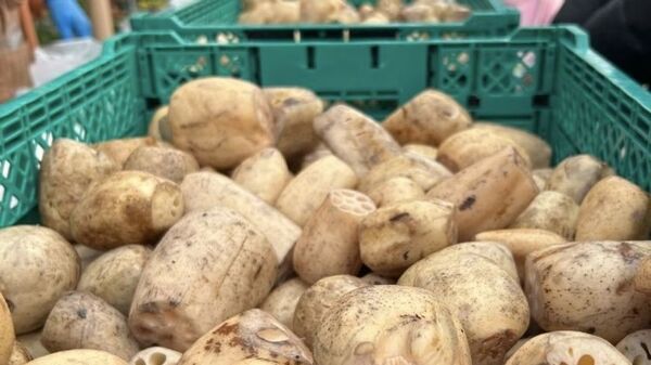 “道の駅木更津うまくたの里”で、《2025年 8周年祭》を開催！10月30日(木)～11月3日(月・祝)は、“8”にまつわるお得なイベントが目白押し！