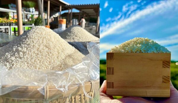 “道の駅木更津うまくたの里”で、《2025年 8周年祭》を開催！10月30日(木)～11月3日(月・祝)は、“8”にまつわるお得なイベントが目白押し！