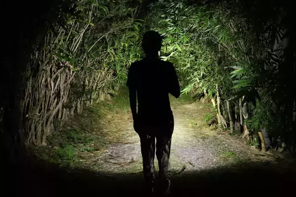 小さく明るいだけじゃない。こじ開け・フタ開けができるミニプライバーを搭載した超小型チタン製懐中電灯