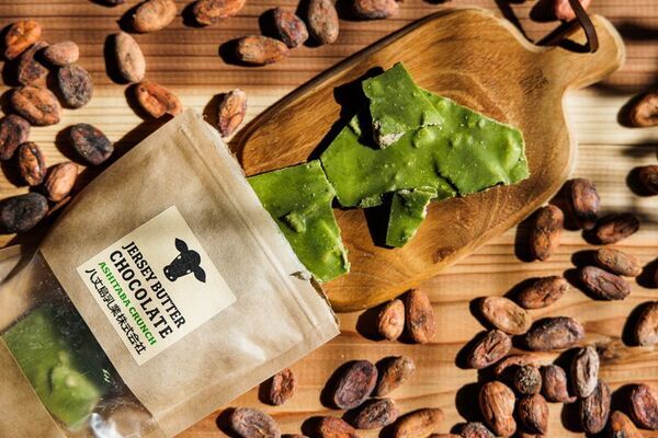 今年で3回目！毎年大好評の周遊フェスが今年もやってくる！「TOKYO周穫祭2025」11月22日(土)・23日(日)に東京国際フォーラムにて開催