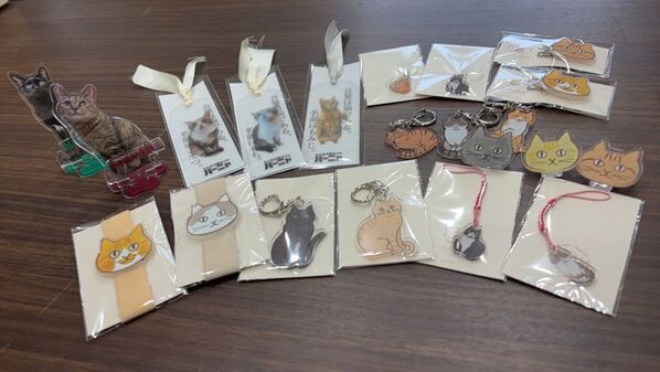 ぐんまちゃん作者が描く新キャラ『ニャニャワ』誕生！保護猫カフェの“命を救う”グッズ販売を本格スタート