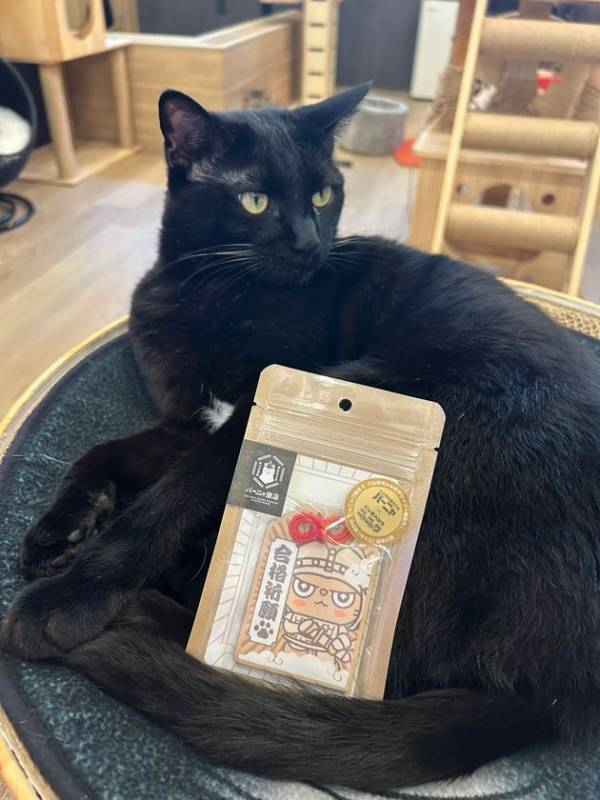 ぐんまちゃん作者が描く新キャラ『ニャニャワ』誕生！保護猫カフェの“命を救う”グッズ販売を本格スタート