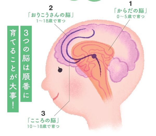 「賢い脳」は脂が9割　学力より“地頭力” ―10年後の未来に差がつく『育脳ごはん』の新常識　～カギは “毎日のオメガ3” 脳は食べ方で変えられる～