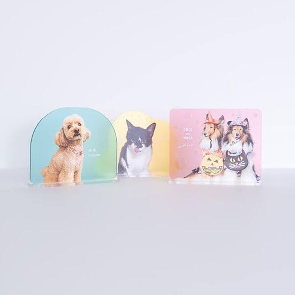 ペットと暮らすご家庭に寄り添うニチガスの新プラン『でガ割もふもふ』第一弾、11月1日より受付開始！