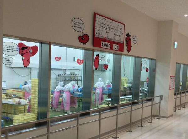 「めんたいパークとこなめ」の新エリア「つぶつぶランド」11月8日(土)リニューアルオープン！オープニングセレモニーは11/8日(土)9:15～