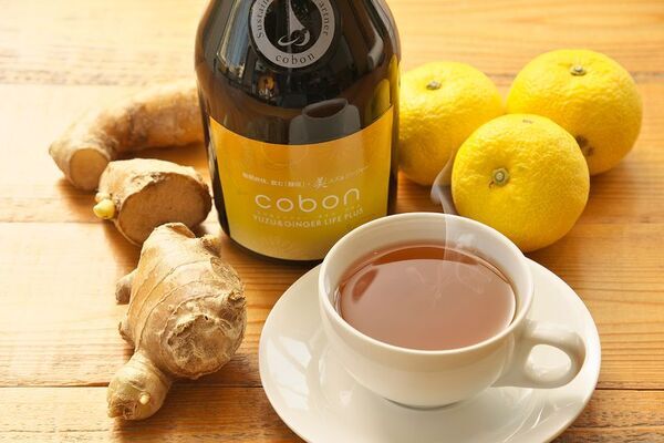 【数量限定】秋冬の巡りに！高知産生姜・柚子配合の酵母ドリンク『コーボンユズ＆ジンジャーライフプラスN525』11月4日(火)より発売