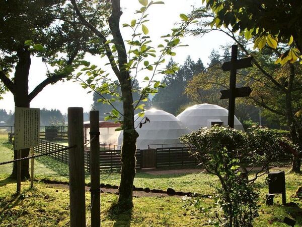 甘くてジューシーな"いちご"を満喫！日光で人気の　「いちご狩り×グランピングBBQプラン」2025年版が登場！