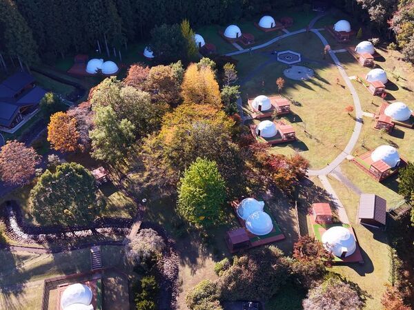 甘くてジューシーな"いちご"を満喫！日光で人気の　「いちご狩り×グランピングBBQプラン」2025年版が登場！