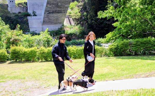 【ブロガー必見！】“癒やしのドッグテラス”誕生！　狩野川と天城連峰を望む開放的なカフェスペース“ペット同伴”ランチスポットが話題　道の駅 伊豆月ケ瀬