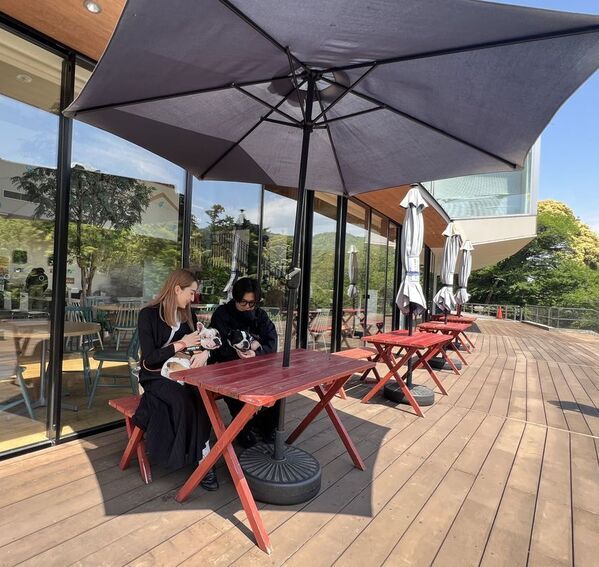 【ブロガー必見！】“癒やしのドッグテラス”誕生！　狩野川と天城連峰を望む開放的なカフェスペース“ペット同伴”ランチスポットが話題　道の駅 伊豆月ケ瀬