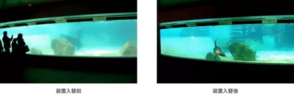 コーヒーの脱色からアシカプールの水質改善、除草剤の分解まで　オゾンに特化した研究室「オゾンラボ」失敗例含むリアルな実証実験データ200件を公開