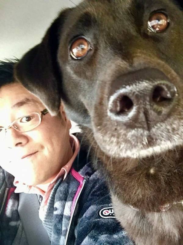 ペットロスが増加し、心のケアやペット供養の需要が高まる　ペットロスを癒す「メモリアル動画」が注目　「スマホにあるペットの写真活用講座」11月27日 大津市にて開催