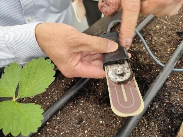 スマート農業分野の灌水制御技術をデンソーと共同で検証開始