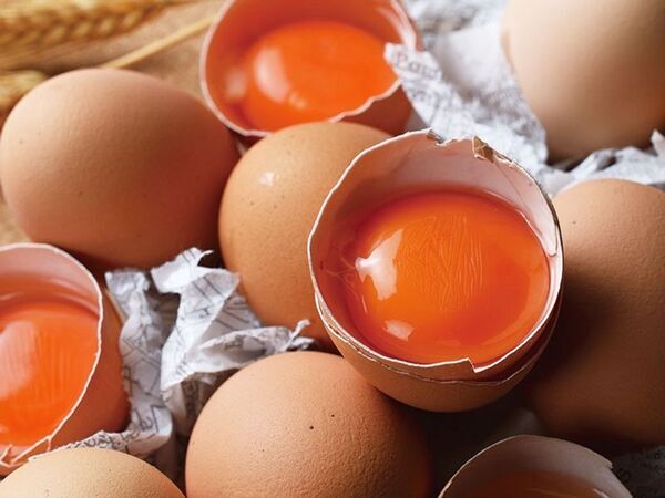 秋の深まりを感じる贅沢な味わい「TAMAGOYAベーカリー秋限定スイーツフェア」を11月30日まで開催