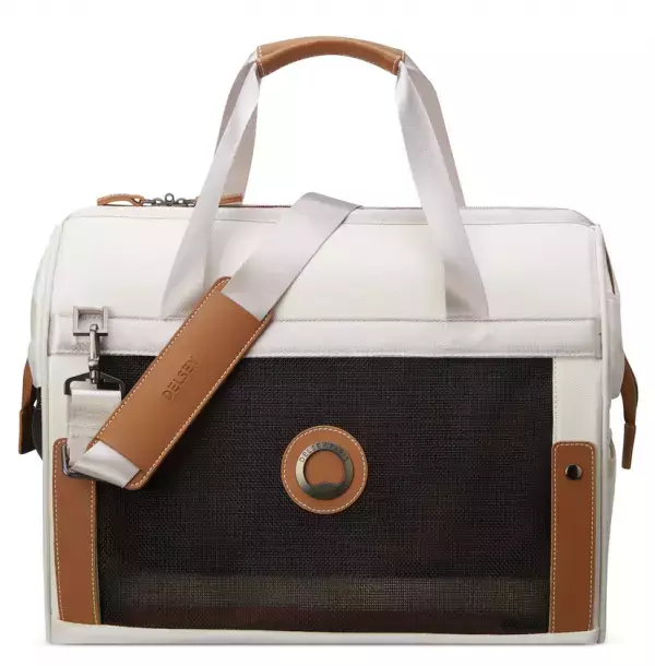 ブランド80周年「デルセーパリ フラッグシップストア」オープン　オープニングイベントに俳優の大和田美帆、タレントの杉谷拳士が登場