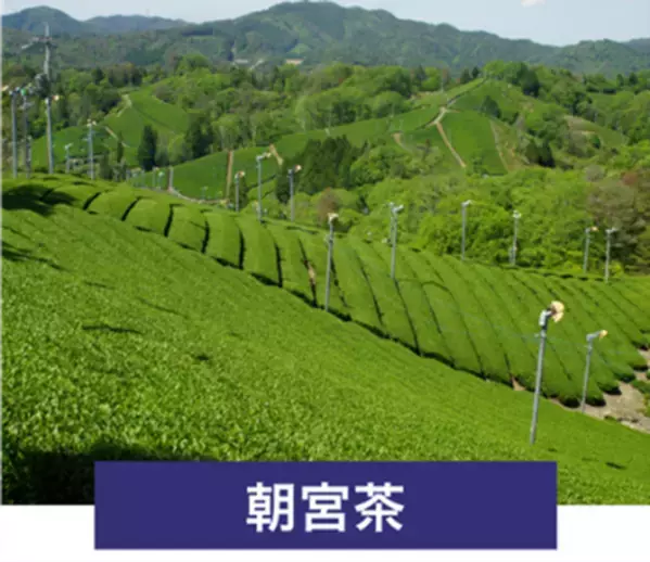 滋賀県甲賀市 日本最古の茶処を巡ろう！近江・甲賀の茶めぐり「ごせんいん御煎印」を販売します！