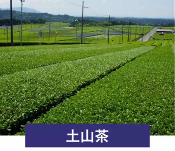 滋賀県甲賀市 日本最古の茶処を巡ろう！近江・甲賀の茶めぐり「ごせんいん御煎印」を販売します！