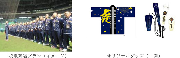 「阪神甲子園球場 球“宴”プラン」～阪神甲子園球場で、新年会や同窓会、少年野球卒団式などの楽しい思い出を～