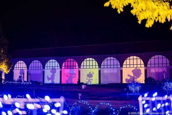 45万球のイルミネーションとともにタオル美術館が贈るスヌーピー ハピネス クリスマスディナーが11月10日から予約開始！