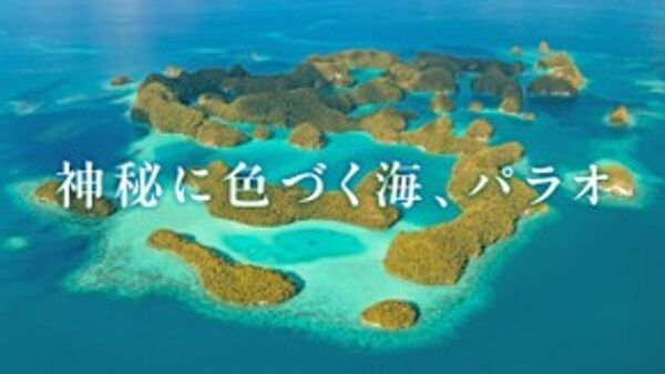 東京／成田-パラオ間の直行便が新たに就航